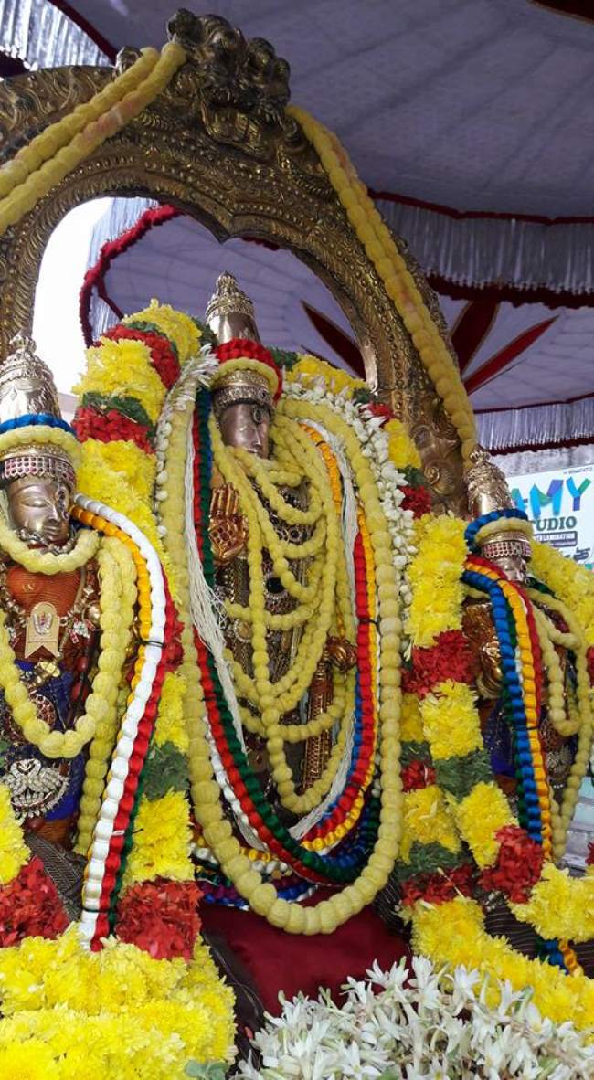 thiruvallur-sri-veeraraghava-perumal-temple-pavithrotsavam-day-2-2016012