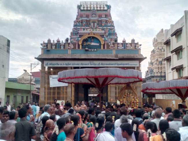 thiruvallur-sri-veeraraghava-perumal-temple-pavithrotsavam-day-2-2016013