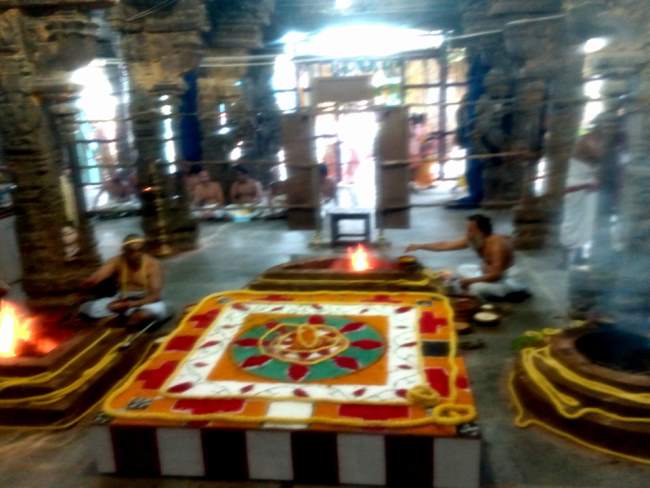 thiruvallur-sri-veeraraghava-perumal-temple-pavithrotsavam-day-2-2016014