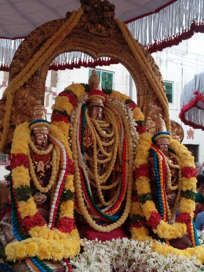 thiruvallur-sri-veeraraghava-perumal-temple-pavithrotsavam-day-2-2016016