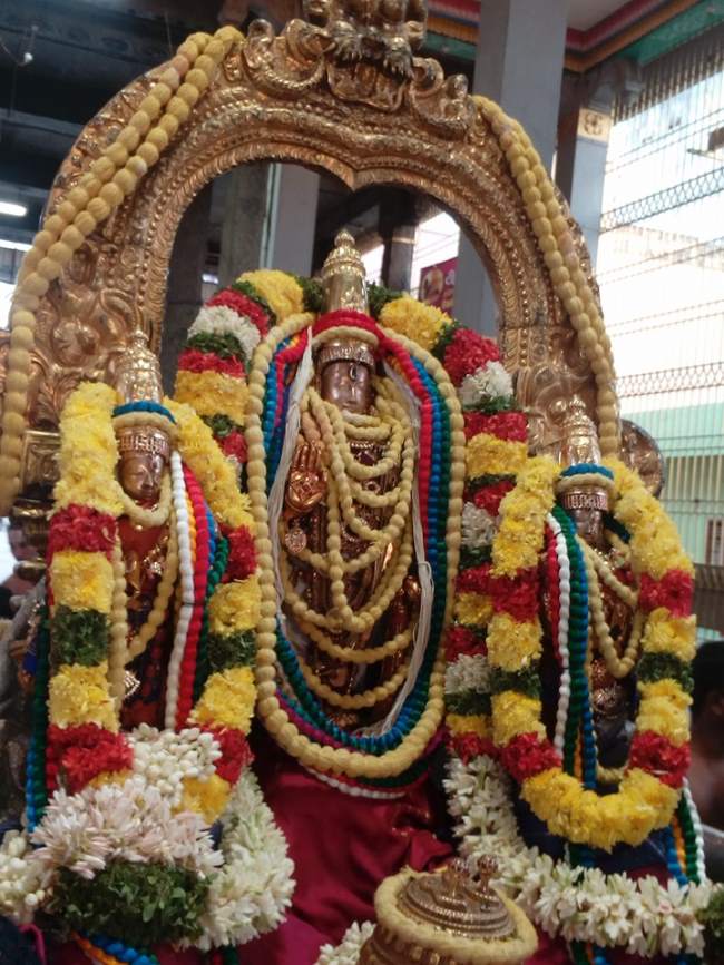 thiruvallur-sri-veeraraghava-swami-temple-pavithrotsavam-2016002
