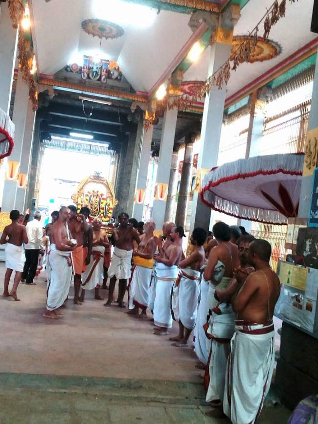 thiruvallur-sri-veeraraghava-swami-temple-pavithrotsavam-2016003