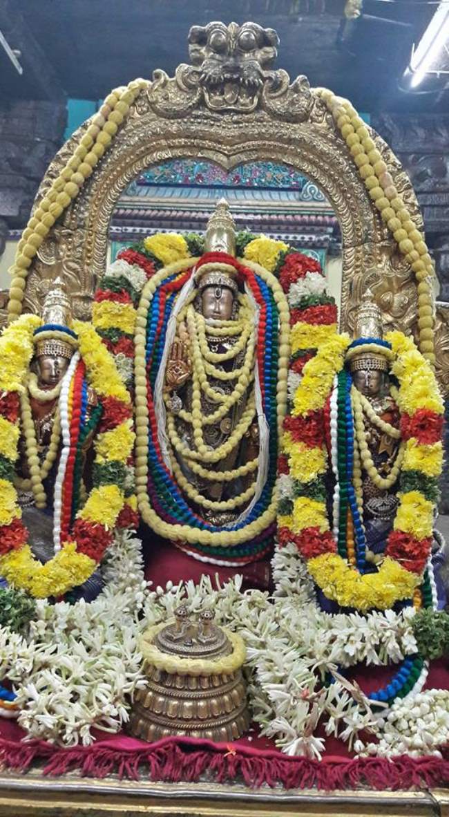 thiruvallur-sri-veeraraghava-swami-temple-pavithrotsavam-2016006
