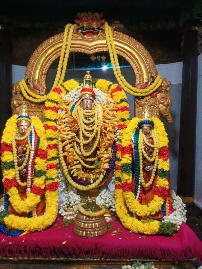 thiruvallur-sri-veeraraghava-swami-temple-pavithrotsavam-2016008