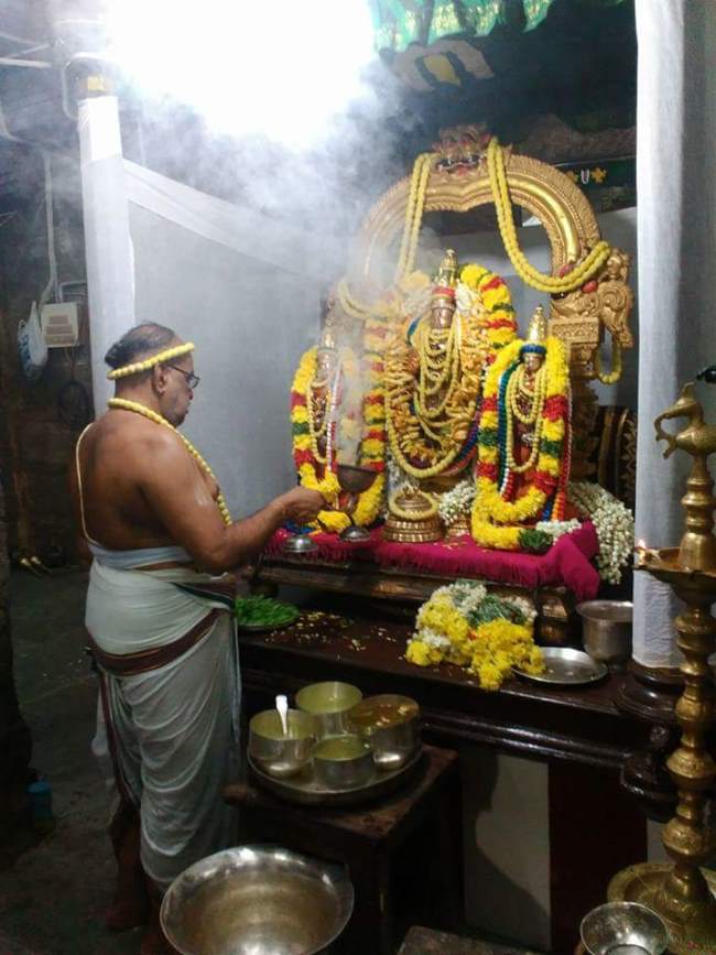 thiruvallur-sri-veeraraghava-swami-temple-pavithrotsavam-2016009
