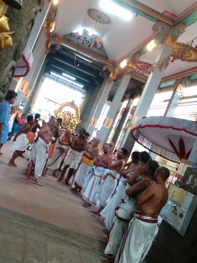 thiruvallur-sri-veeraraghava-swami-temple-pavithrotsavam-2016010