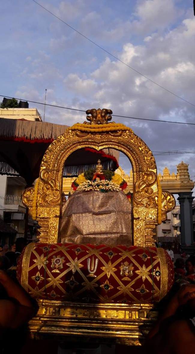 thiruvallur-sri-veeraraghava-swami-temple-pavithrotsavam-2016012