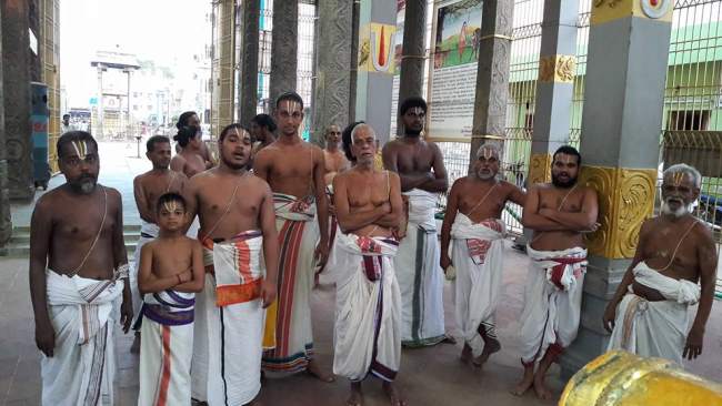 thiruvallur-sri-veeraraghava-swami-temple-pavithrotsavam-2016013