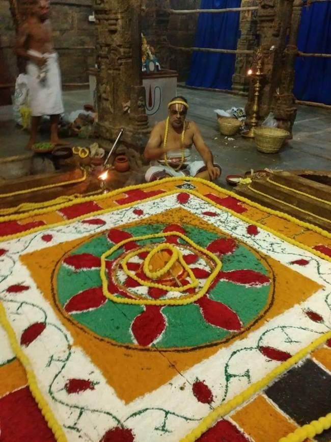 thiruvallur-sri-veeraraghava-swami-temple-pavithrotsavam-2016015