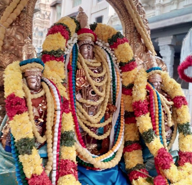 thiruvallur-sri-veeraraghava-perumal-temple-pavithrotsavam-2016
