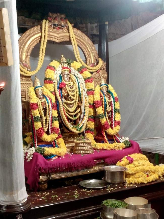 thiruvallur-sri-veeraraghava-perumal-temple-pavithrotsavam-2016003