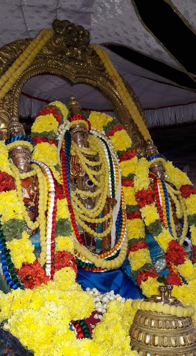 thiruvallur-sri-veeraraghava-perumal-temple-pavithrotsavam-2016006