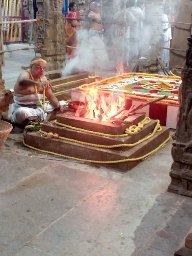 thiruvallur-sri-veeraraghava-perumal-temple-pavithrotsavam-2016009