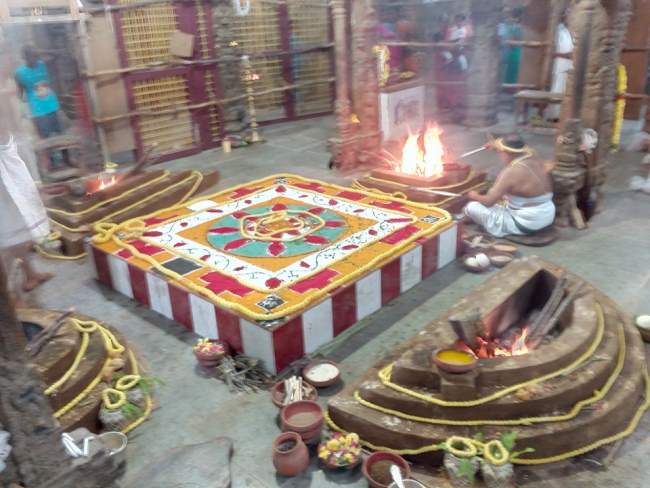 thiruvallur-sri-veeraraghava-perumal-temple-pavithrotsavam-2016011