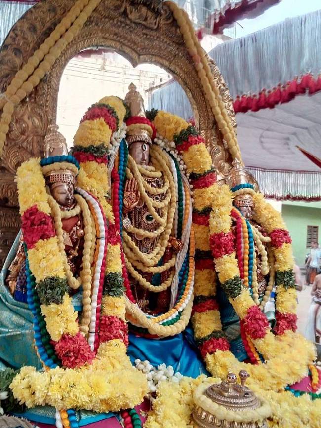 thiruvallur-sri-veeraraghava-perumal-temple-pavithrotsavam-2016014