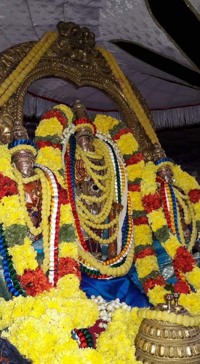 thiruvallur-sri-veeraraghava-perumal-temple-pavithrotsavam-2016015