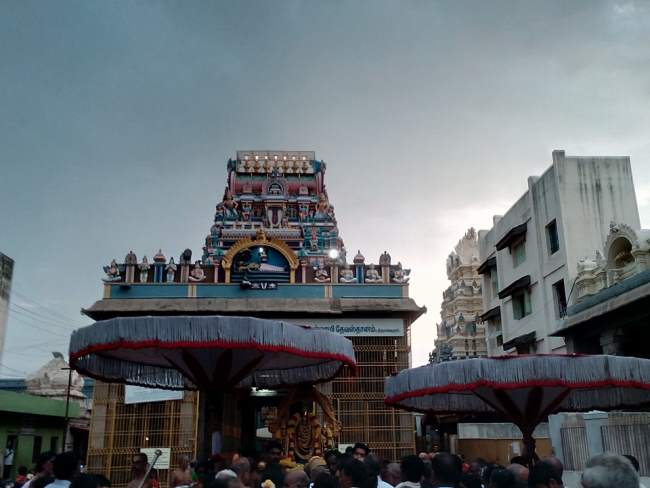 thiruvallur-sri-veeraraghava-perumal-temple-pavithrotsavam-2016016
