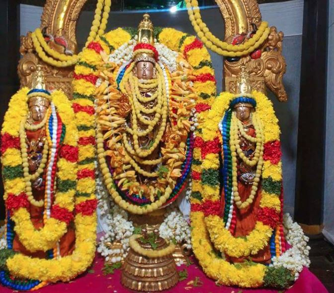 thiruvallur-sri-veeraraghava-swami-temple-pavithrotsavam-day-4-2016