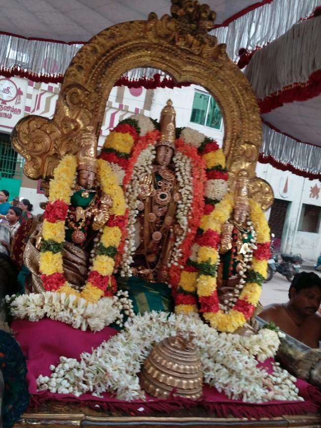 thiruvallur-veeraraghava-perumal-temple-ekadesi-purappadu-010