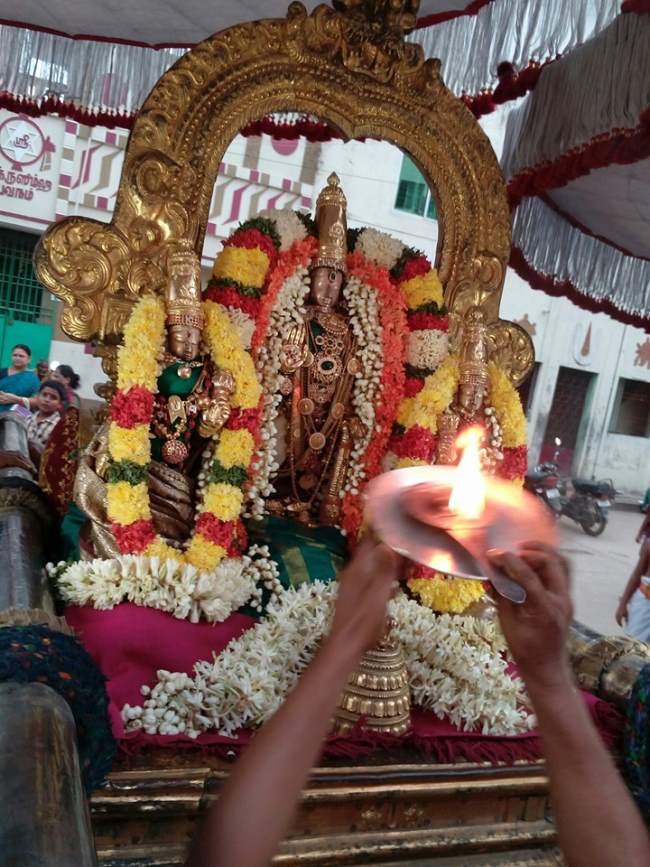 thiruvallur-veeraraghava-perumal-temple-ekadesi-purappadu-015