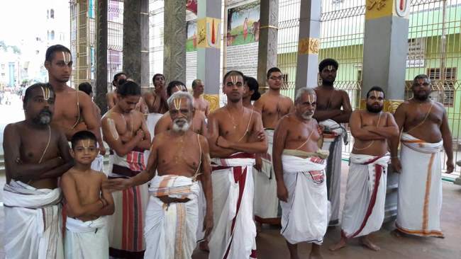 thiruvallur-veeraraghava-perumal-temple-pavithrotsavam-day-6-2016001