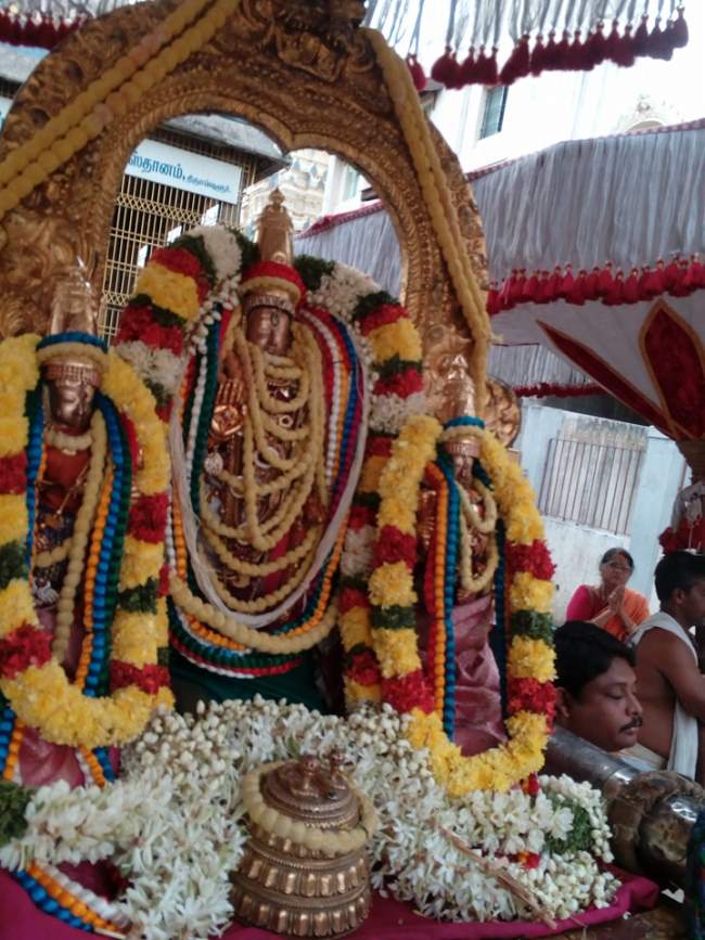 thiruvallur-veeraraghava-perumal-temple-pavithrotsavam-day-6-2016003