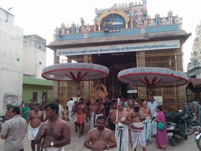 thiruvallur-veeraraghava-perumal-temple-pavithrotsavam-day-6-2016005