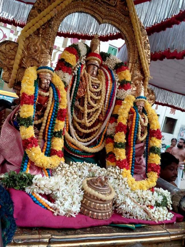 thiruvallur-veeraraghava-perumal-temple-pavithrotsavam-day-6-2016006