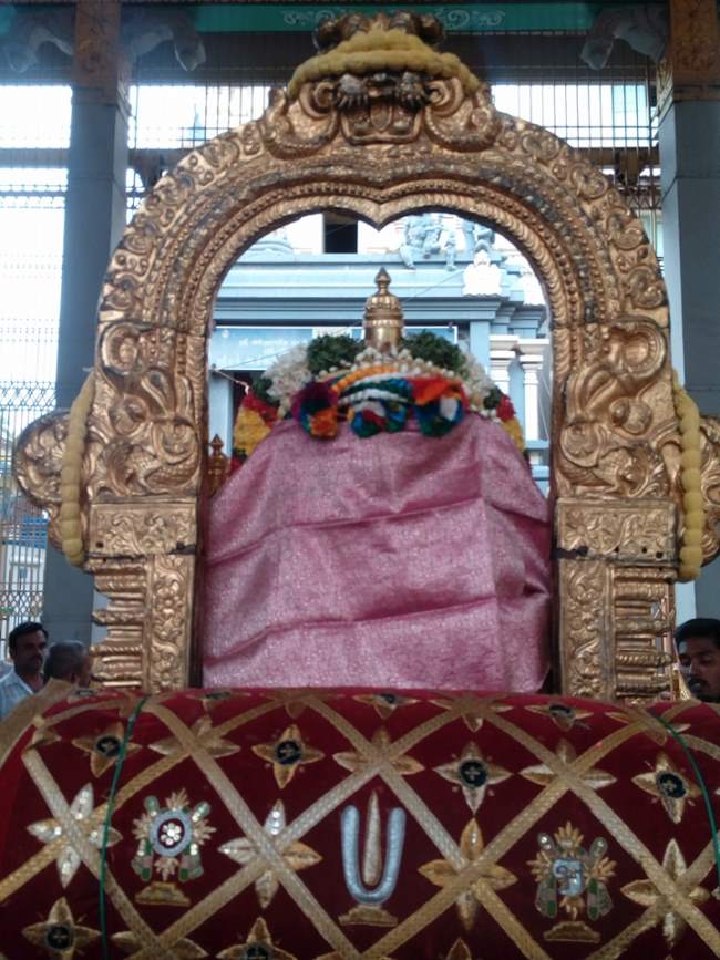 thiruvallur-veeraraghava-perumal-temple-pavithrotsavam-day-6-2016018