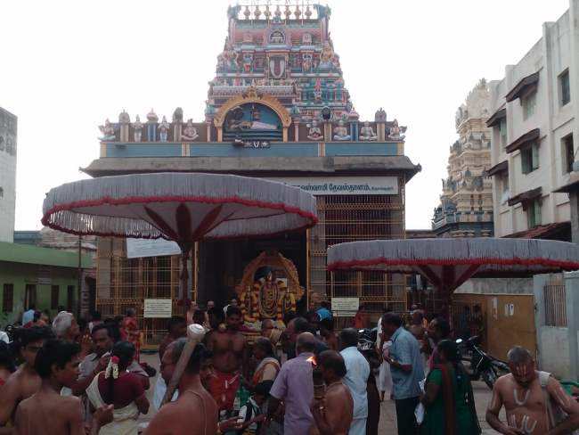 thiruvallur-veeraraghava-perumal-temple-pavithrotsavam-day-6-2016020