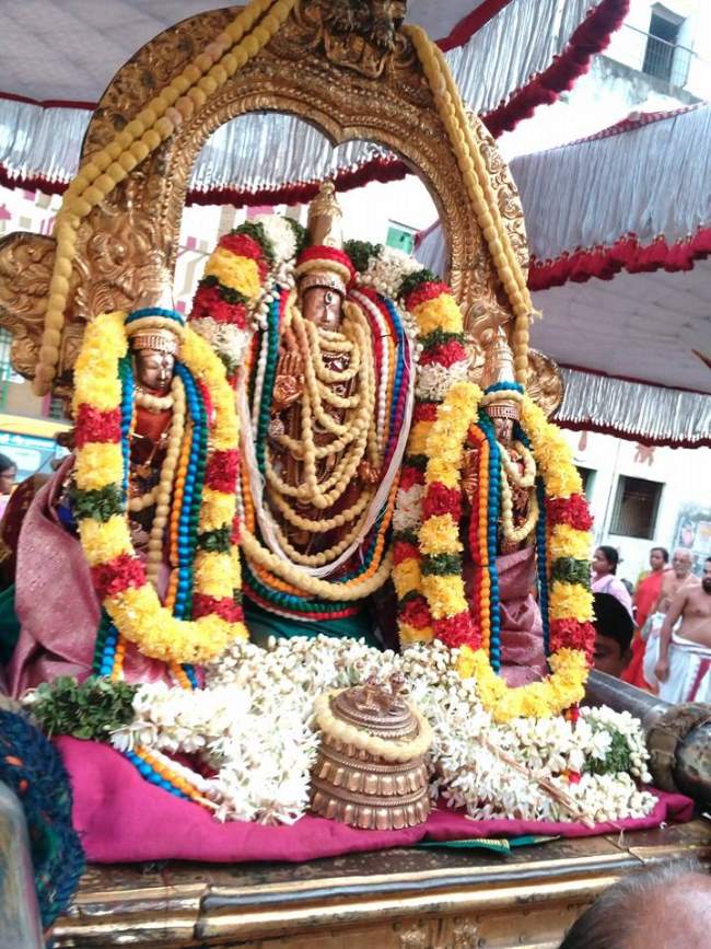 thiruvallur-veeraraghava-perumal-temple-pavithrotsavam-day-6-2016021