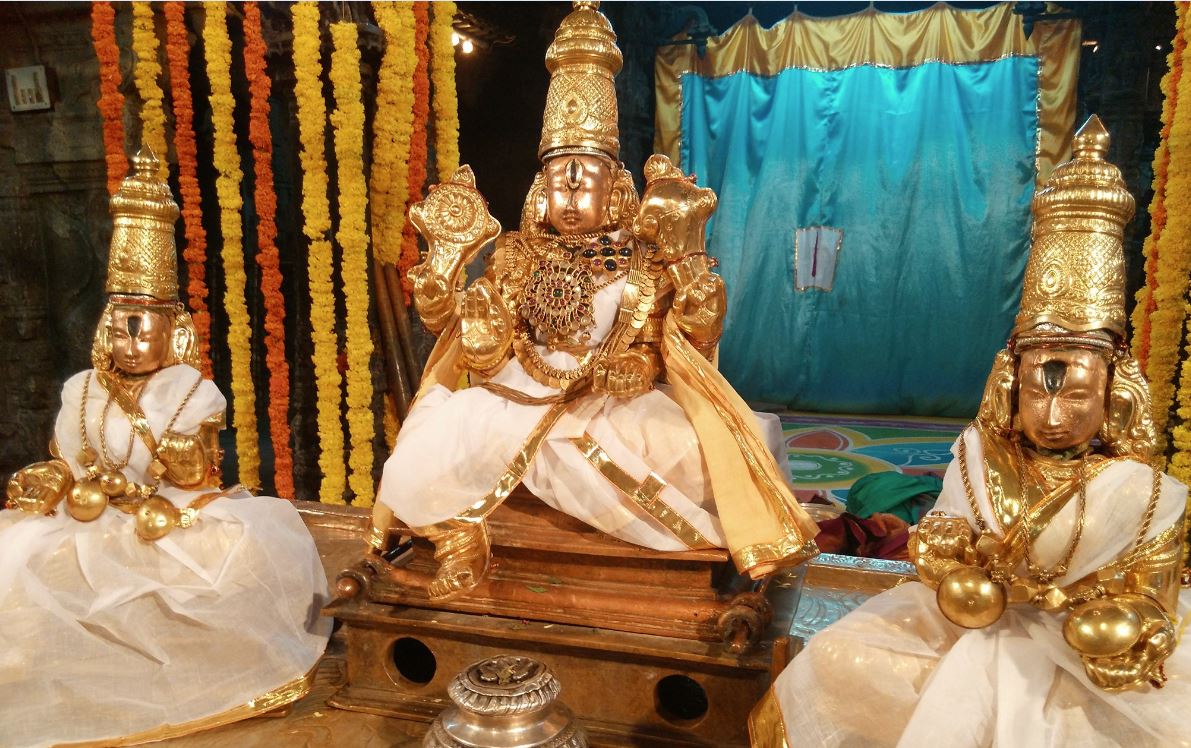 tirupathi-govindaraja-sannadhi-pavithrotsavam-day-2-2016