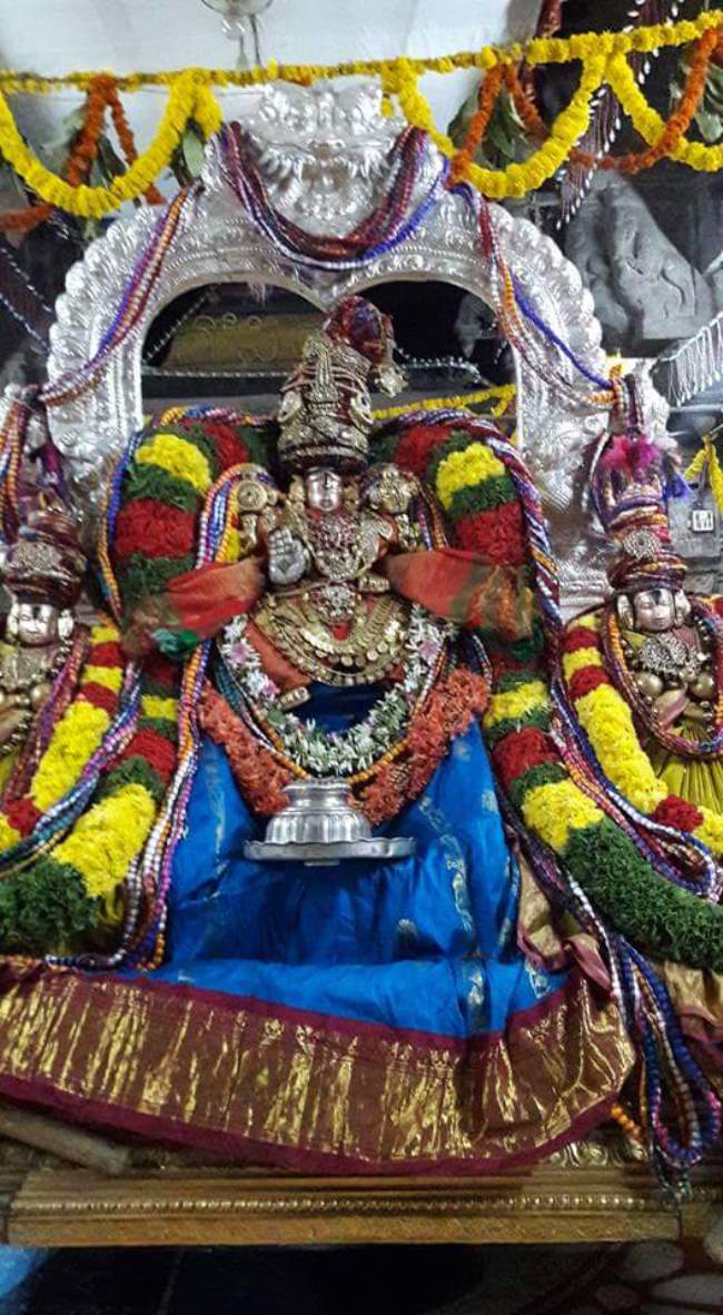 tirupathi-govindarajar-sannadhi-pavithrotsavam-day-3-2016003