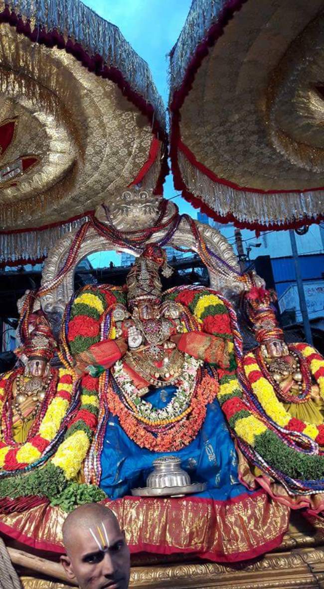 tirupathi-govindarajar-sannadhi-pavithrotsavam-day-3-2016004