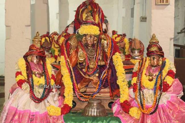 tirupati-govindaraja-sannadhi-pavithrotsavam-day-2-2016002