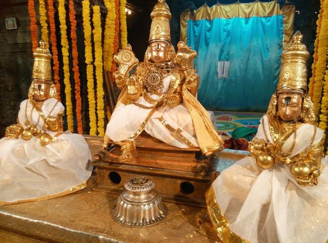 tirupati-govindaraja-sannadhi-pavithrotsavam-day-2-2016004