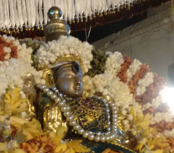 villivakkam-sowmya-damodara-perumal-temple-purattasi-sukravara-purappadu-2016
