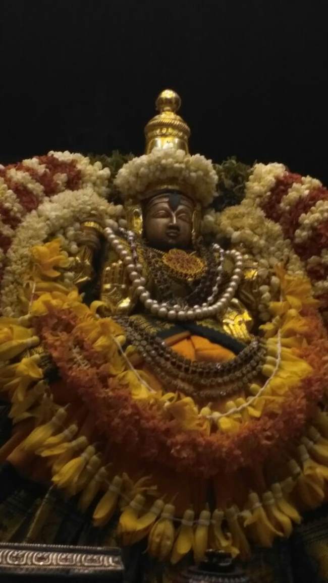 villivakkam-sowmya-damodara-perumal-thayar-purattasi-sukravara-purappadu005