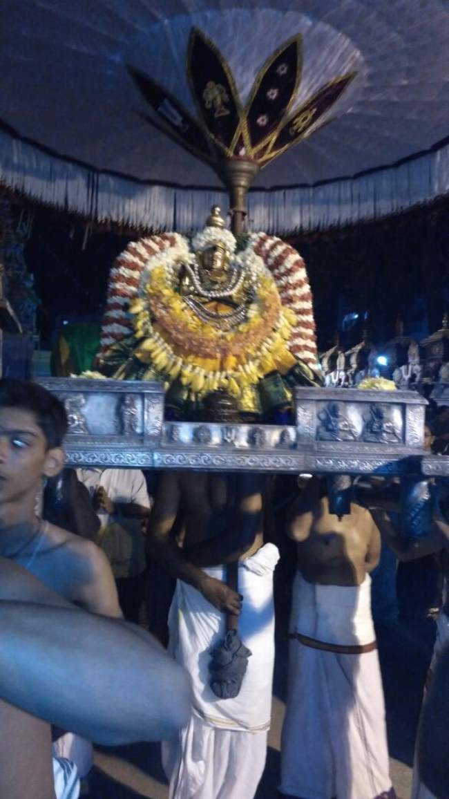 villivakkam-sowmya-damodara-perumal-thayar-purattasi-sukravara-purappadu010