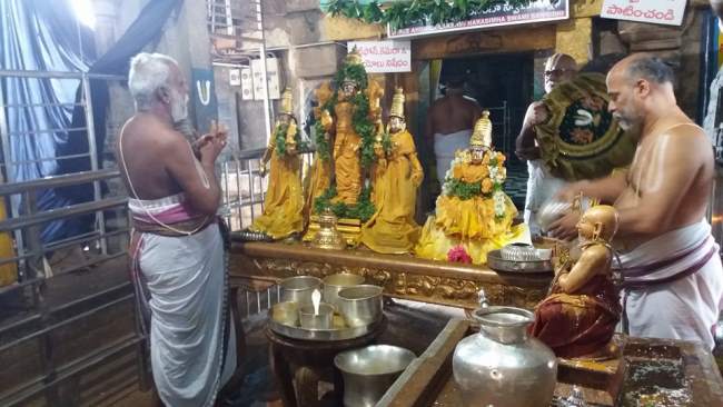 ahobilam-sri-narasimha-swami-temple-purattasi-ammavasai-thirumanjanam-2016027