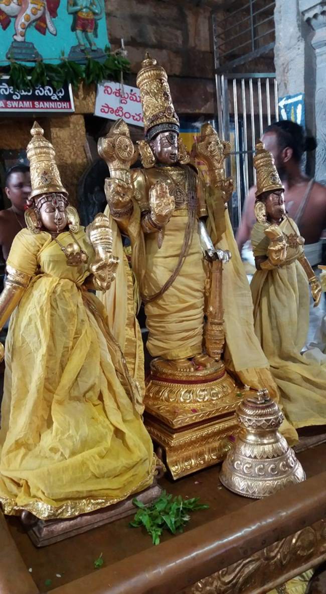 ahobilam-sri-narasimha-swami-temple-purattasi-ammavasai-thirumanjanam-2016031