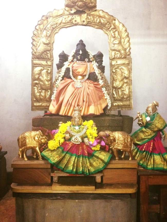 bangalore-sri-devanatha-swami-temple-swami-desikan-thirunakshatra-utsavam-2016009