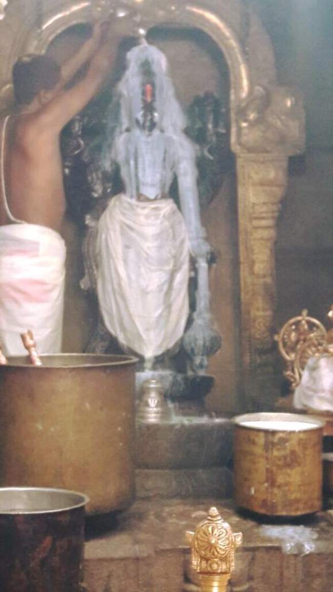 bangalore-sri-devanatha-swami-temple-swami-desikan-thirunakshatra-utsavam-2016013