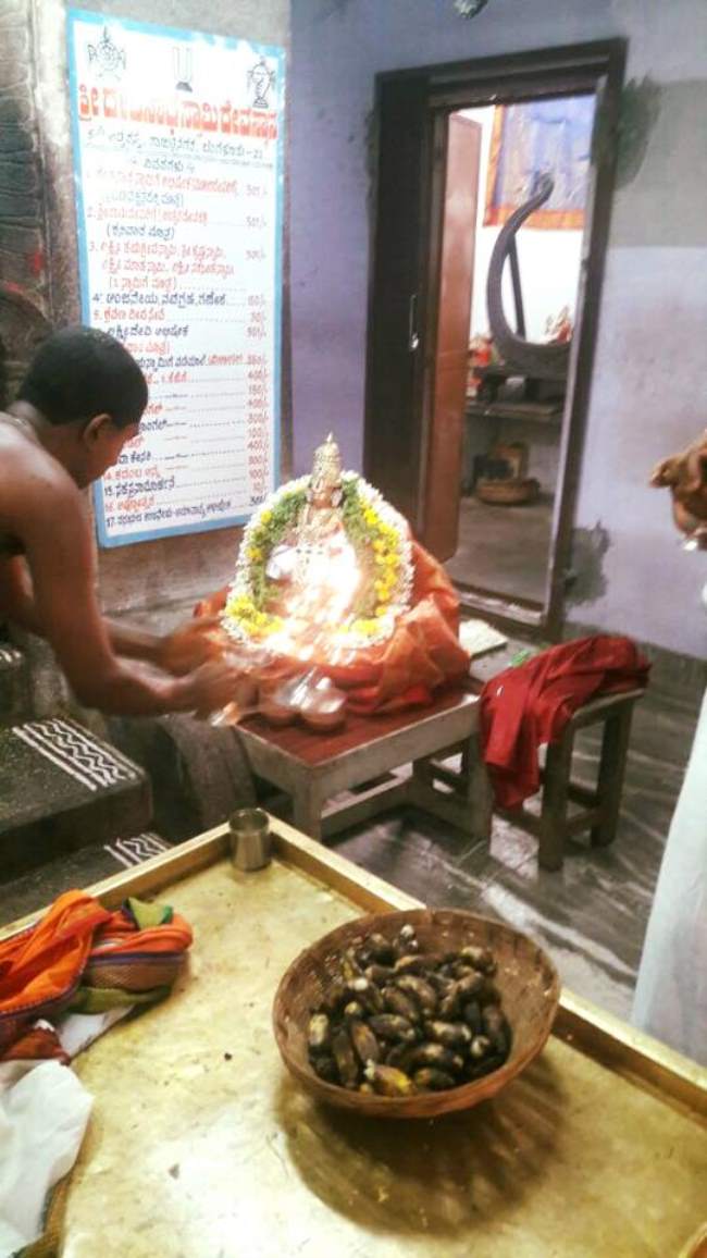 bangalore-sri-devanatha-swami-temple-swami-desikan-thirunakshatra-utsavam-2016016