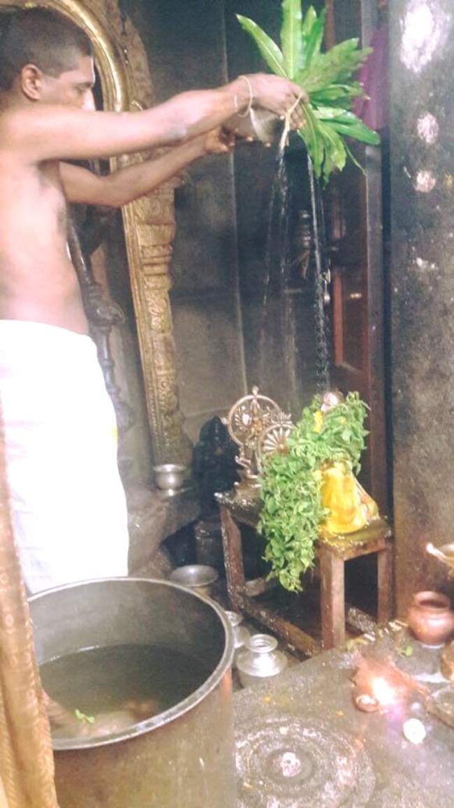 bangalore-sri-devanatha-swami-temple-swami-desikan-thirunakshatra-utsavam-2016019