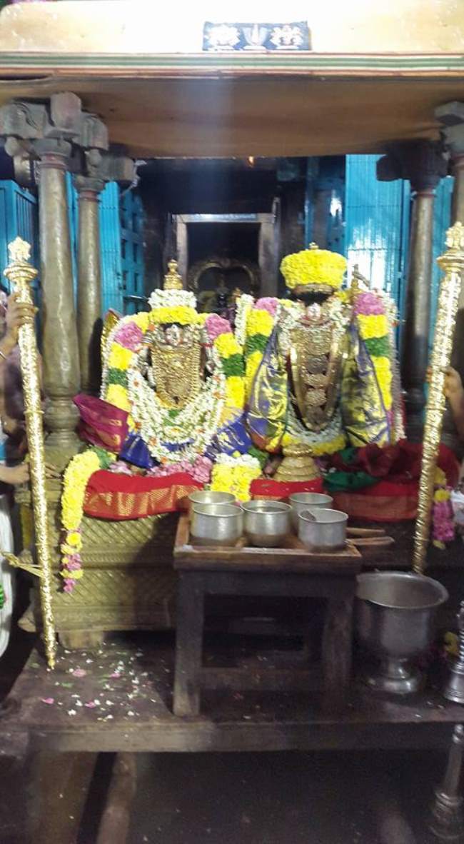 golden-thadi-samarpanai-to-sri-devanathan-temple-thiruvahindrapuram015