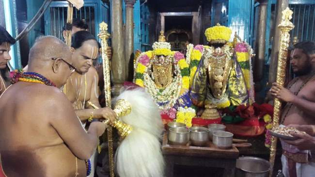 golden-thadi-samarpanai-to-sri-devanathan-temple-thiruvahindrapuram019