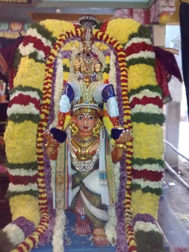 guduvancherry-sri-prasanna-venkatesa-perumal-temple-garuda-sevai-2016002