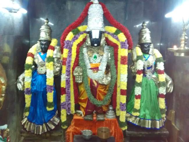 guduvancherry-sri-prasanna-venkatesa-perumal-temple-garuda-sevai-2016004
