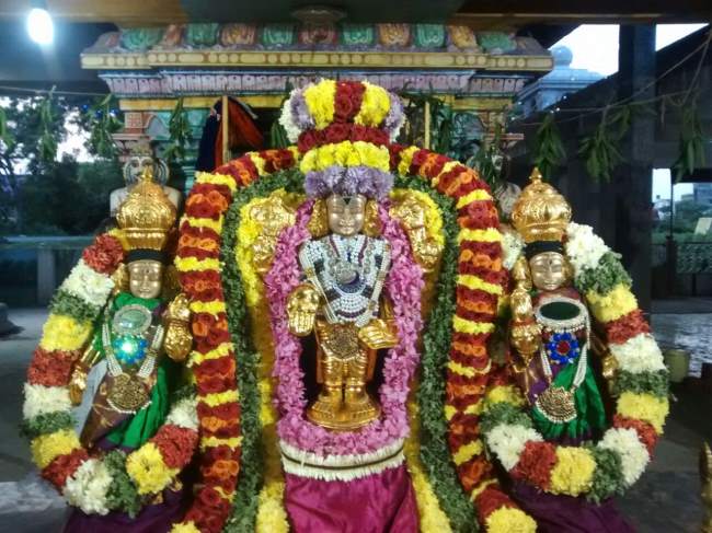 guduvancherry-sri-prasanna-venkatesa-perumal-temple-garuda-sevai-2016013